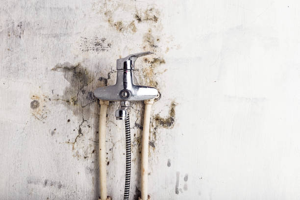 Professional Mold Remediation in Massillon, OH