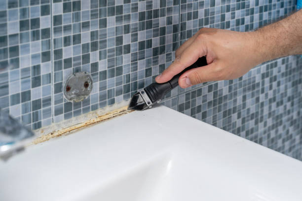 Reliable Massillon, OH Mold Remediation Solutions
