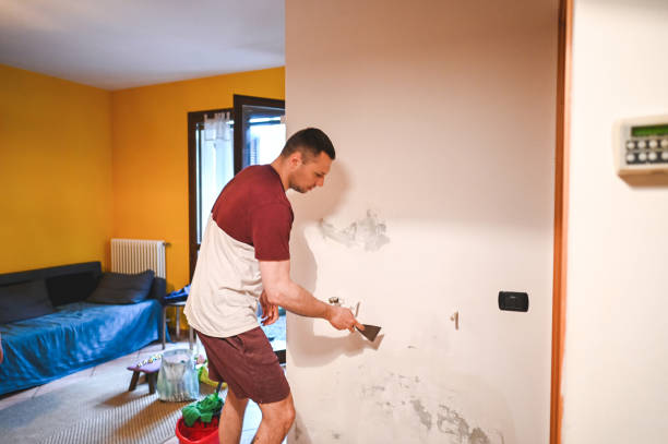 Best DIY Mold Remediation Support Services in Massillon, OH